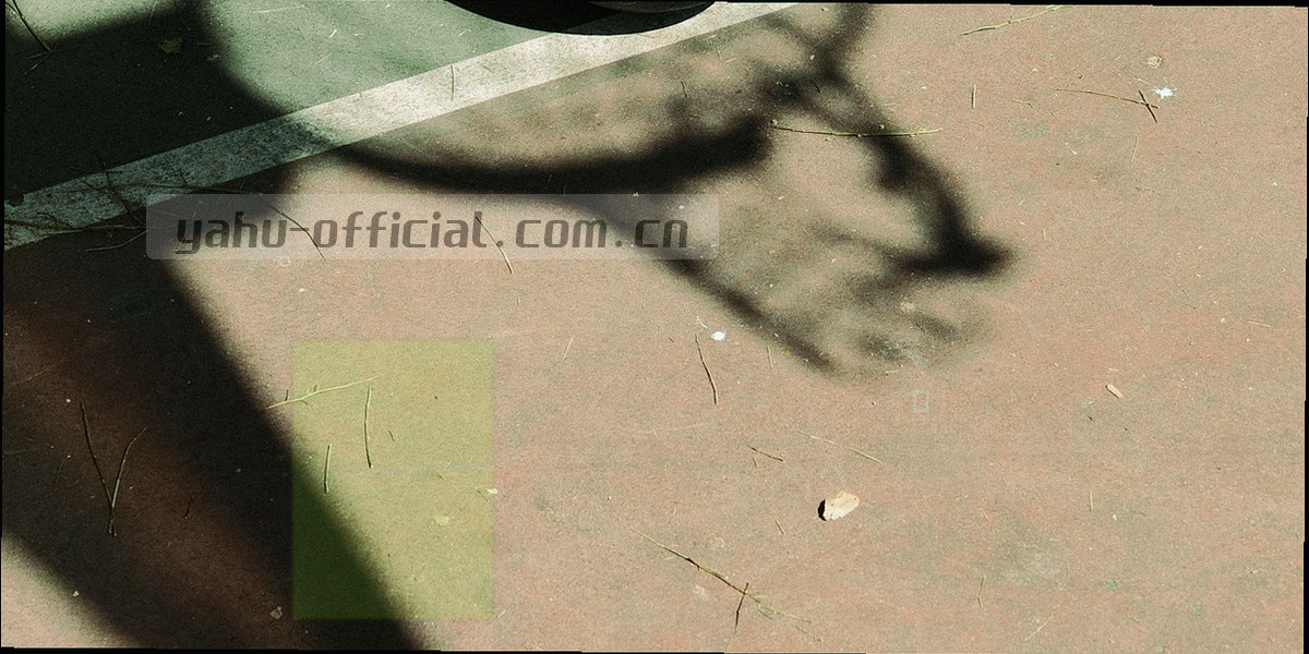 横向刻度线与编号标签排列的抽象示意图，节点以圆点与短线表示